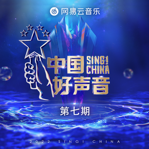 德国dsm针刺视频
