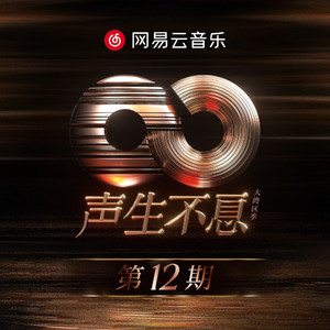 德国dsm针刺视频
