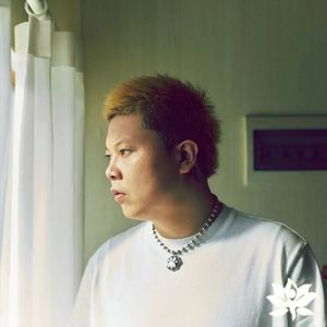 德国dsm针刺视频
