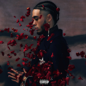 德国dsm针刺视频
