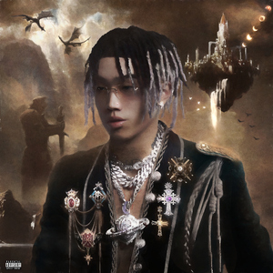 德国dsm针刺视频
