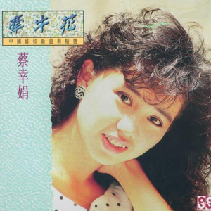 德国dsm针刺视频
