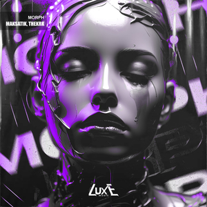 德国dsm针刺视频
