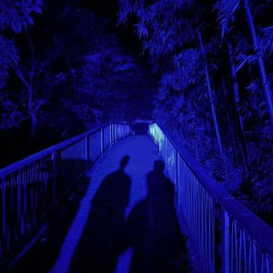 德国dsm针刺视频
