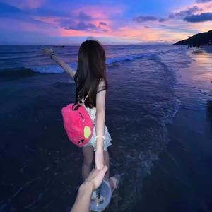 德国dsm针刺视频
