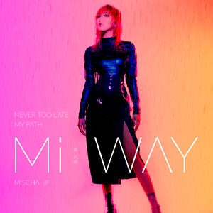 德国dsm针刺视频
