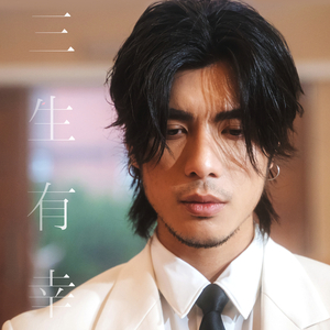 德国dsm针刺视频
