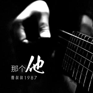 德国dsm针刺视频
