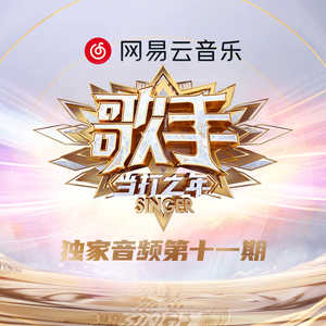 德国dsm针刺视频
