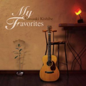 德国dsm针刺视频
