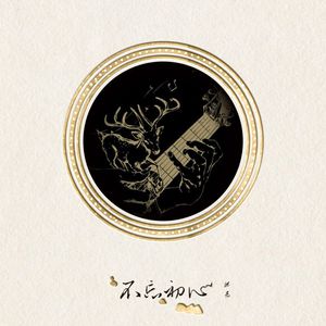 德国dsm针刺视频
