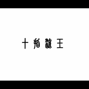 德国dsm针刺视频
