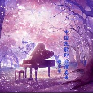 德国dsm针刺视频
