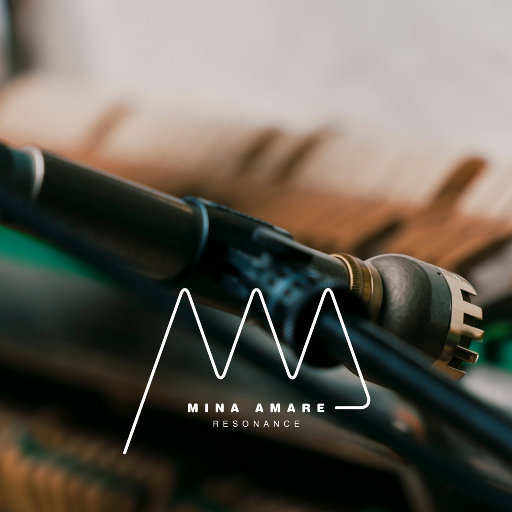 德国dsm针刺视频
