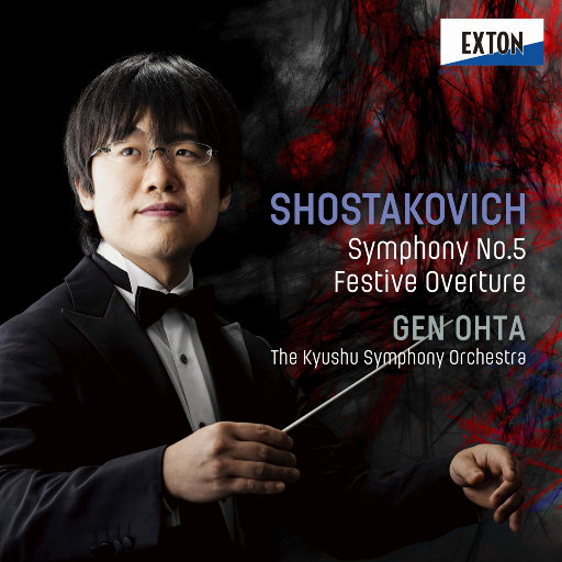 德国dsm针刺视频
