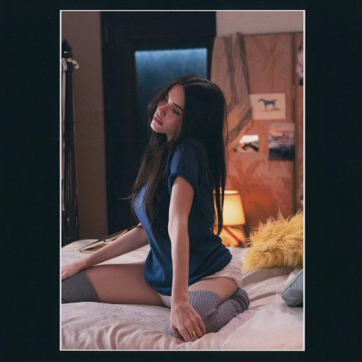 德国dsm针刺视频
