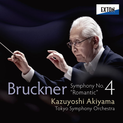 德国dsm针刺视频
